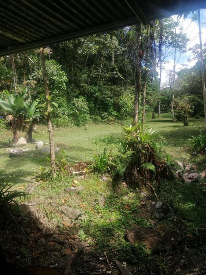Selvatica Del Toro Apartment Bajos del Toro Exterior photo